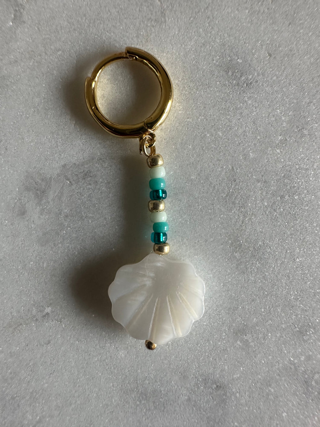 Little seashell